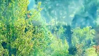 nature is very beautiful