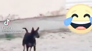 Funny
