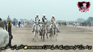 #Horses on befor Riding 1