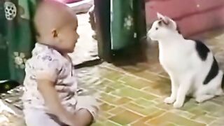 cat take a baby care
