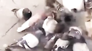 Emotional video