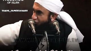 Wafa dar