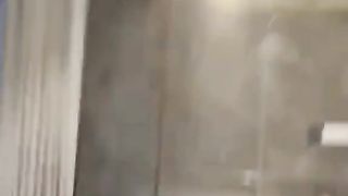 Cat in action