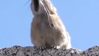 Wow perfect editing ( Voice On )