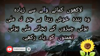 لاکھوں کمانے والے سے زیادہ وہ بندہ خوش رہتا ہے جو نہ ملی