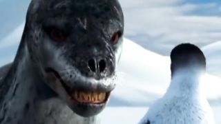 Funny videos