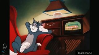 Tom and Jerry Lover
