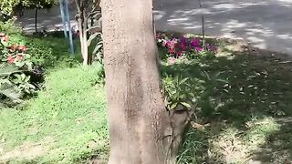 Spare time in university