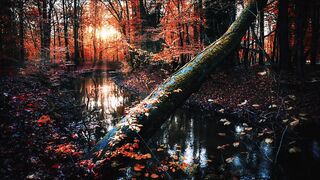Relaxing Music Video-And Meditation Music Video-And Beautiful Nature