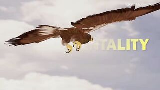 Eagle_Mentality_Best_Motivational_Video