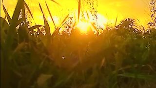 Beautiful Nature with Pashto Song