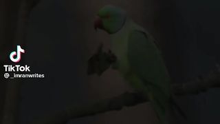 کن فیکوںن