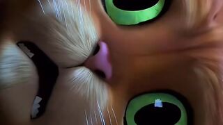 Puss in boots ???? .  Death ????
