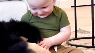 Funny Animal, funny cats compilation