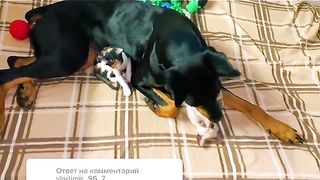 the best babysitter.