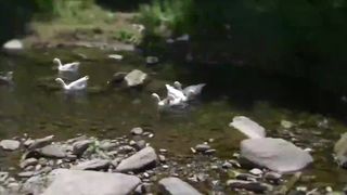 Get Rid Of All Bad Energy, Tibetan Healing Sounds, Reduce Stress And Anxiety, Meditation