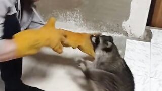 Come on, let's play.