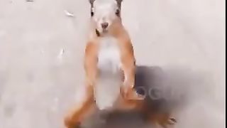 VID-20180506-WA0004 2023