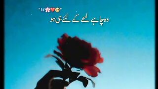 Islamic videos
