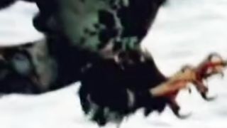 Brilliant torqe target eagle