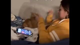 LAUGH Non-Stop With These Funny Cats - Funniest Cats Expression Video - Funny Cats Life
