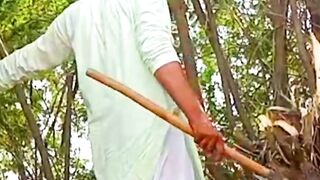 wood cutting in forest |Muhammad Rameez Athar
