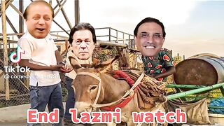 End lamzi watch
