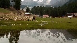 The Nature heaven on earth