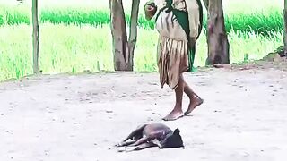 Zabardast Funny video