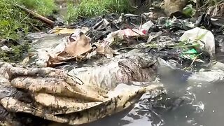 let's clean our environment