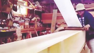 World amazing video