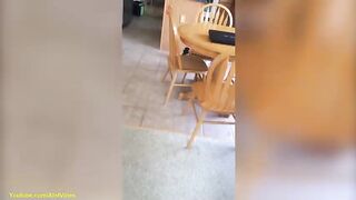 Dare to not laugh bet you cant