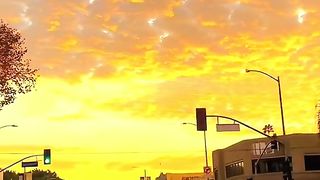 Sun view