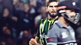 Pakistan vs newzealnad