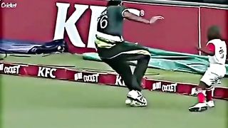 Cricket fans