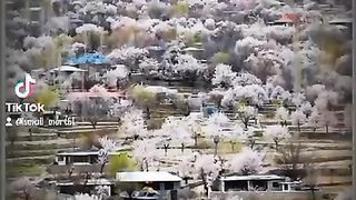 Beautiful places
