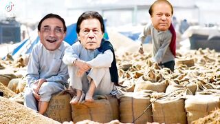 Zadari Imran Khan and Nawaz sharif