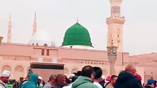 Do you love Madinah
