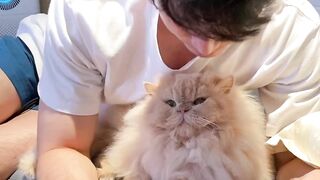 Boy with his punch Face Cat on febspot