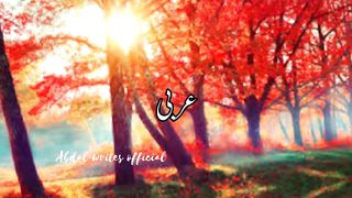 Islam ki baatein| Islamic talks
