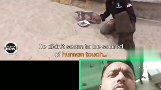 A dog is in very poor condition