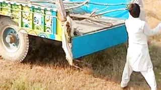 wood cutting | village life in pakistan | @ok pendu