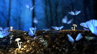 nature whatsapp status 4k video status - Nature Videos|4k