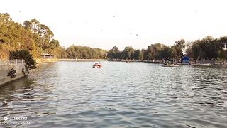 The beautiful and natural scene of #Lahore rescourse park