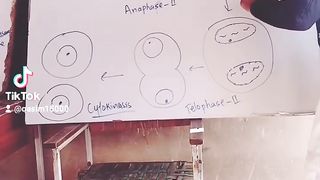 Biology lecture preview