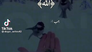 یا اللہ مدد