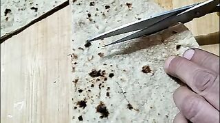 Pizza in unique style you never try this