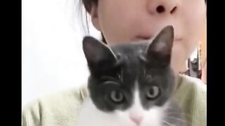 Fun With Cat