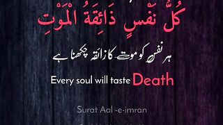 موت کو یاد رکھو