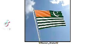 Kashmir Day